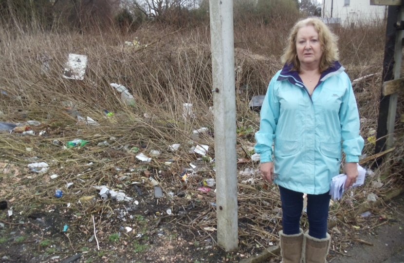  Cindy inspects an untidy site in Birleywood